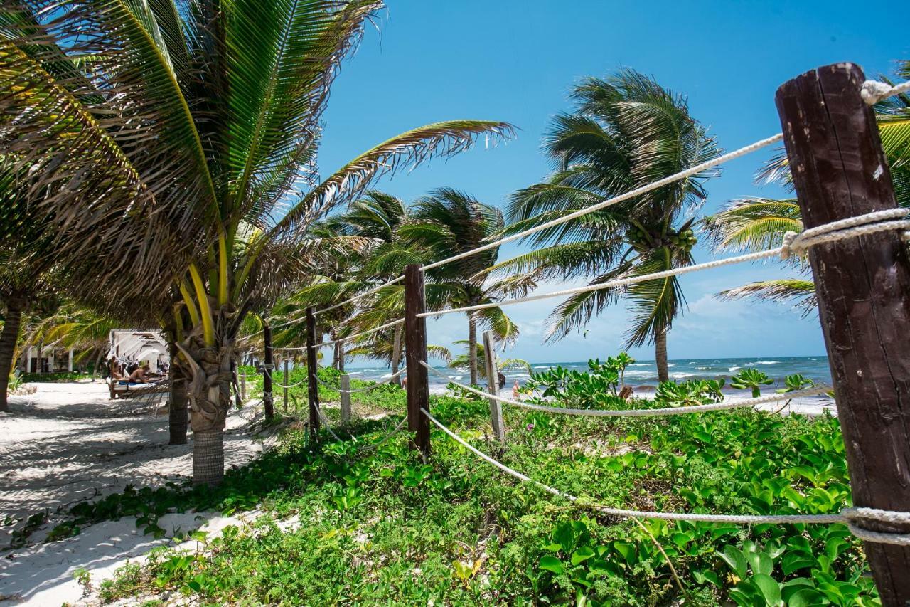 Hotel Cabana Los Lirios Tulum Exterior photo